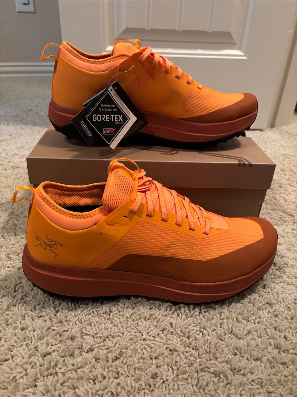 Arc'teryx Sylan GTX M trail running shoes